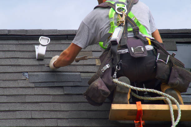 Best Residential Roof Replacement  in Savoy, IL