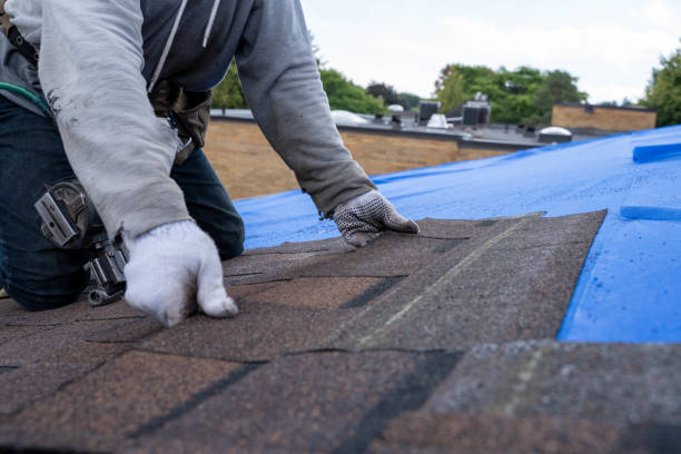 Professional Roofing Contractor in Savoy, IL