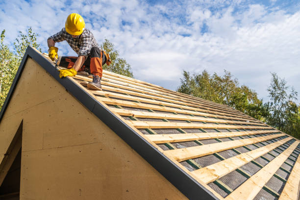 Best Flat Roof Repair Services  in Savoy, IL
